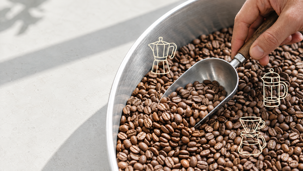 Mano sosteniendo una pala de café de especialidad con granos tostados